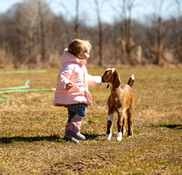 down on the farm with Annabelle